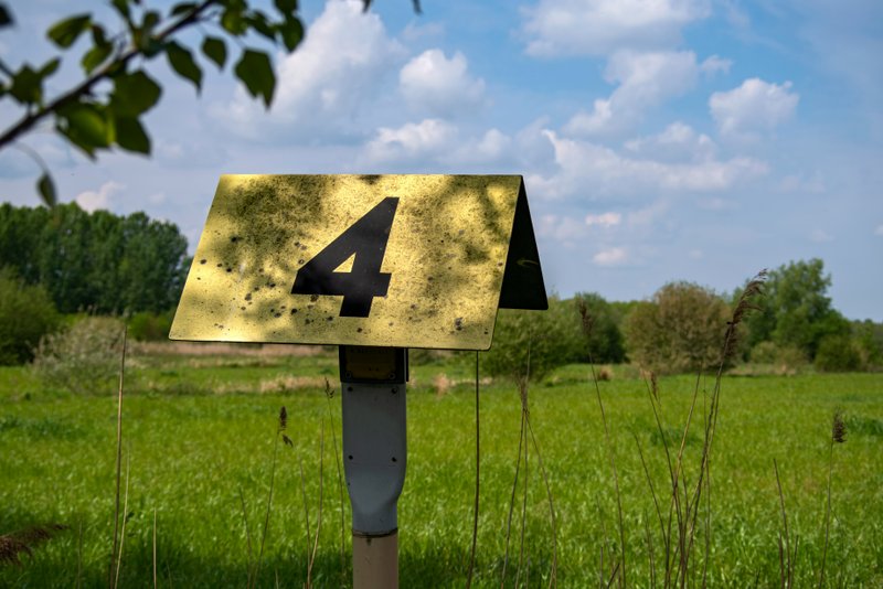 How to Downsize Your Home Without Feeling Overwhelmed