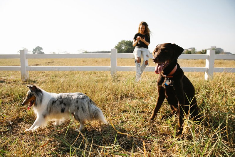 Top 12 Side Hustles You Can Start This Weekend
